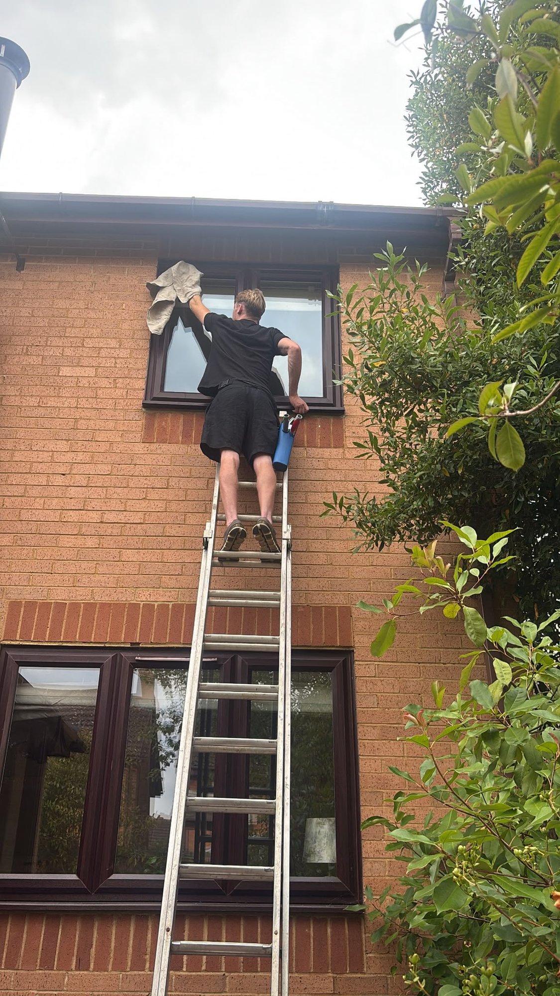 Window cleaner up a ladder at a first floor window